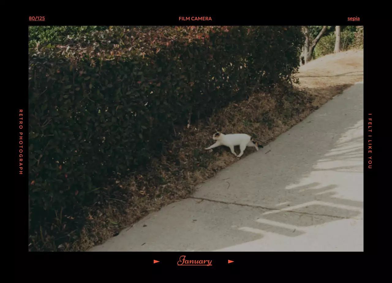 Kalender Suasana Hati Retro Filka