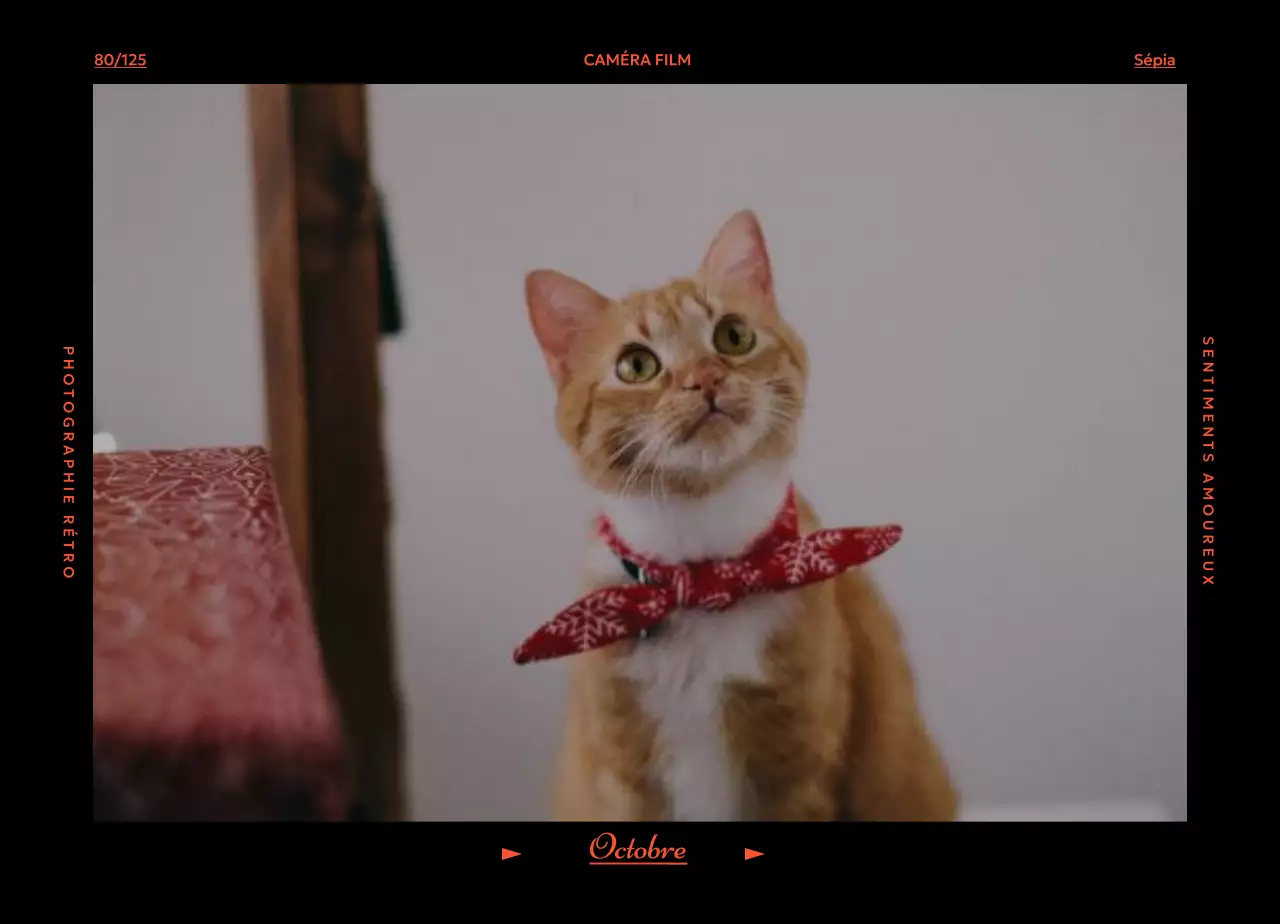 Calendrier d'humeur Retro Filka