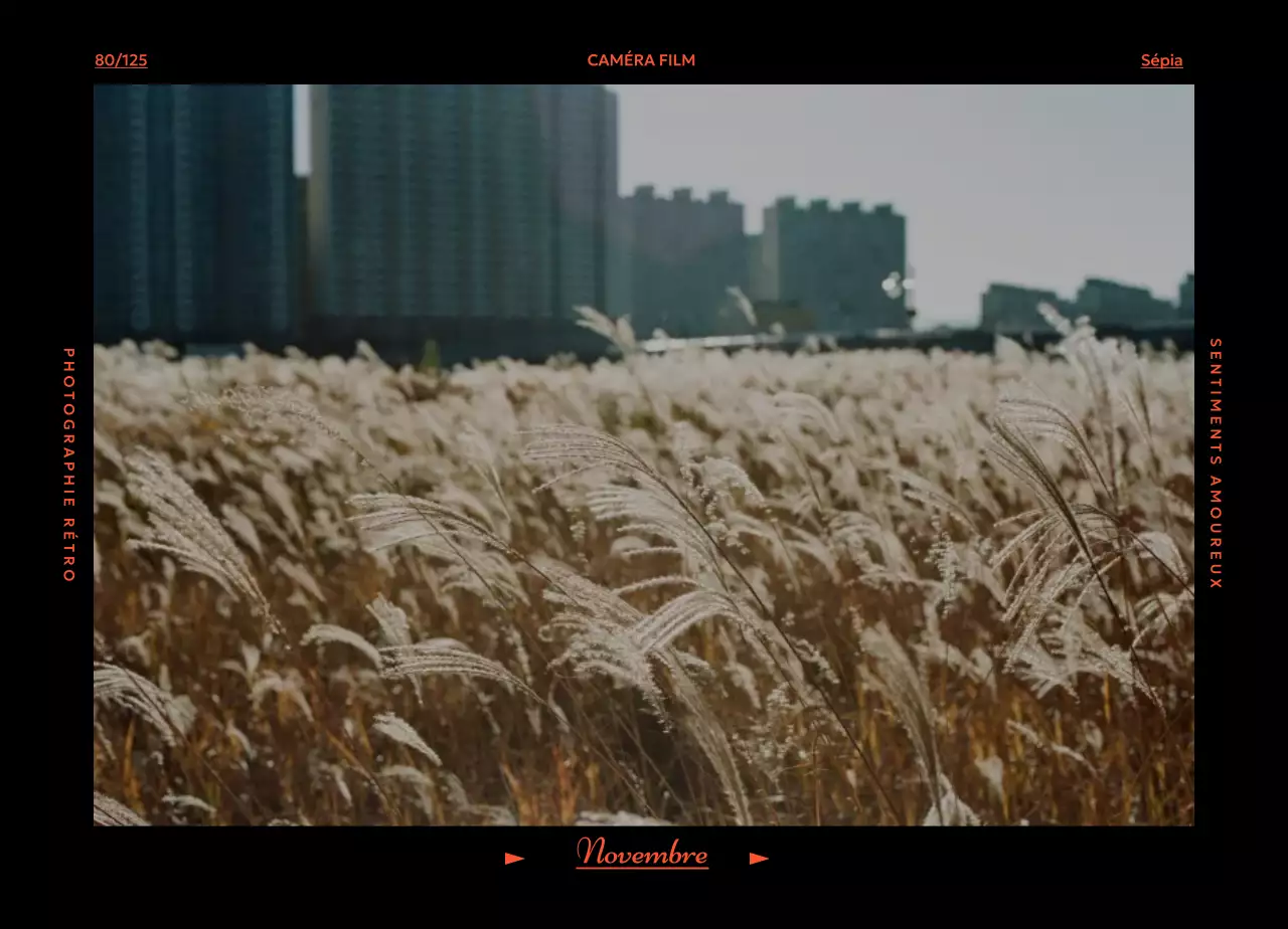 Calendrier d'humeur Retro Filka