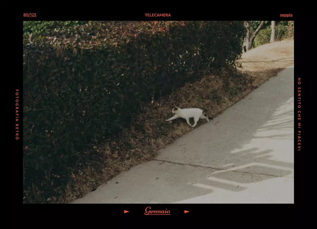 Calendario dell'umore Retro Filka