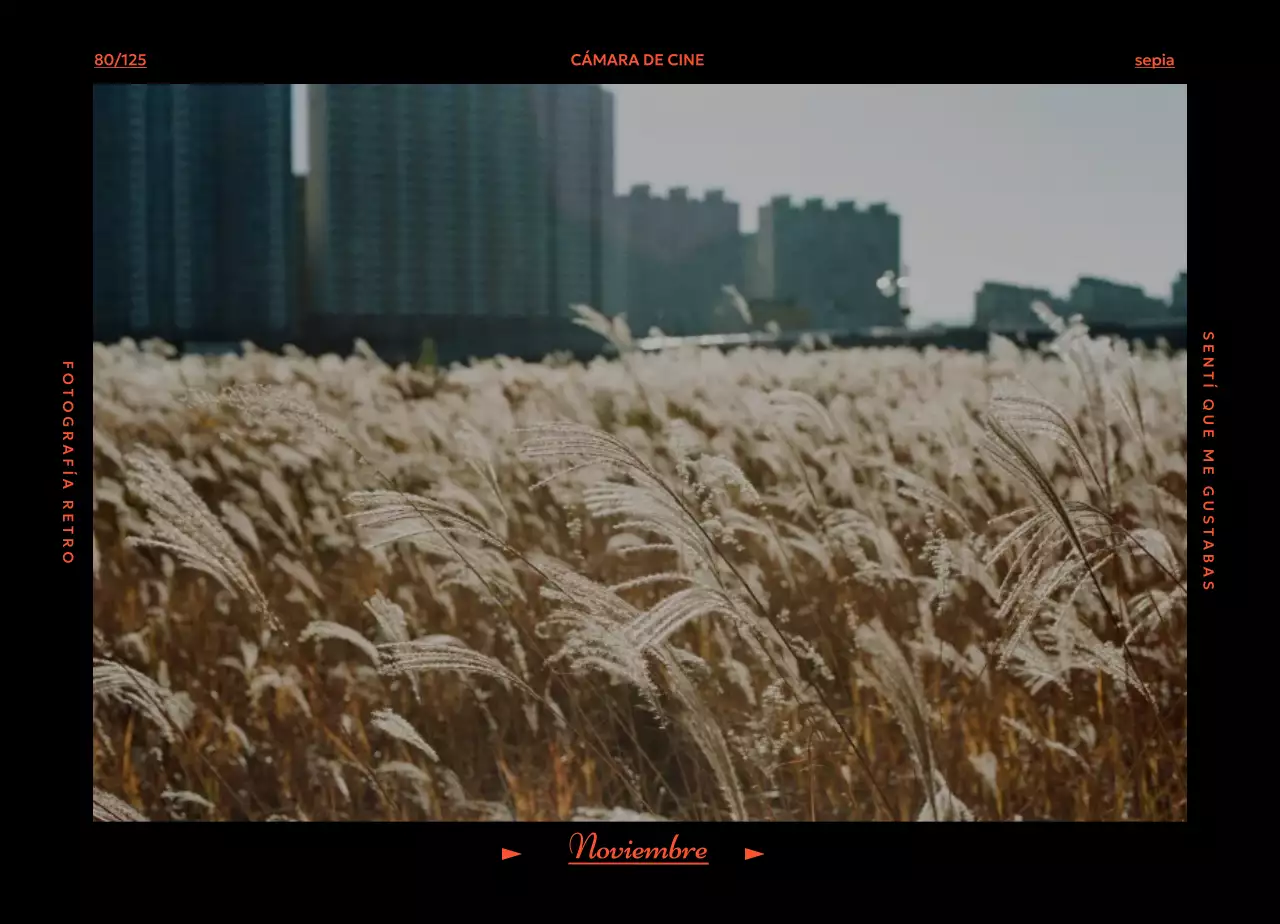 Calendario Retro Filka