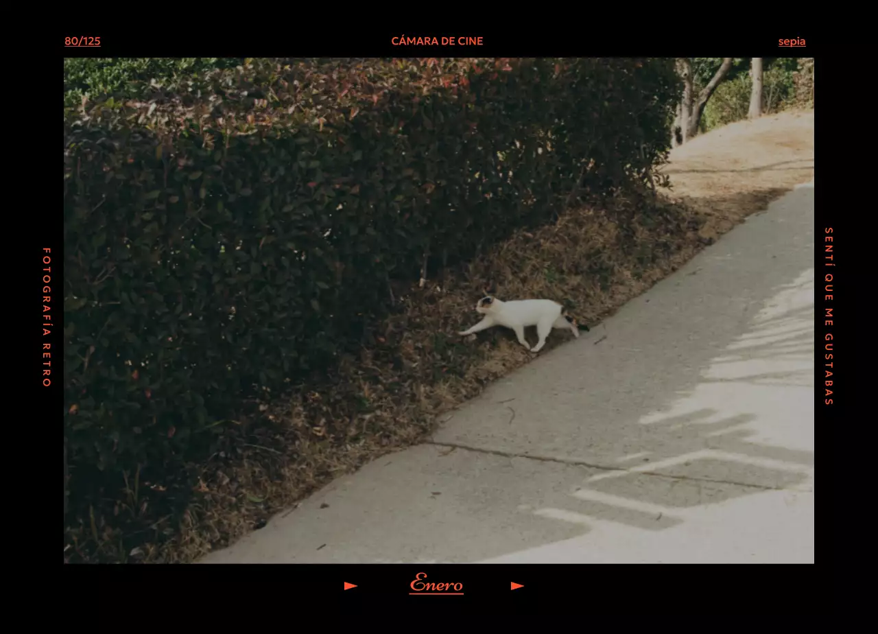 Calendario Retro Filka