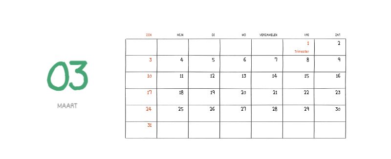 Een kleurrijk en schattig alledaags illustratieconcept