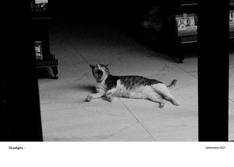 Un calendario fotografico dall'atmosfera pulita e urbana