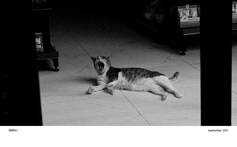 Ein Fotokalender mit klarem, urbanem Charakter