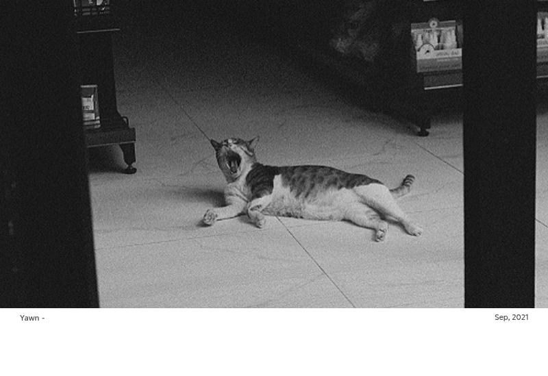 A photo calendar with a clean, urban feel