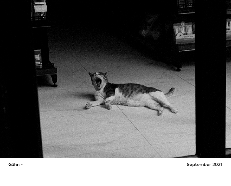 Ein Fotokalender mit klarem, urbanem Charakter