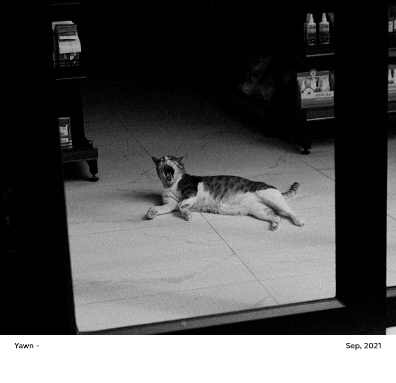 Lịch ảnh mang lại cảm giác sạch sẽ, thành thị