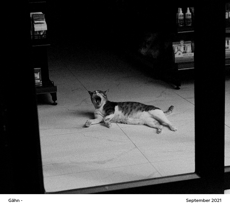 Ein Fotokalender mit klarem, urbanem Charakter