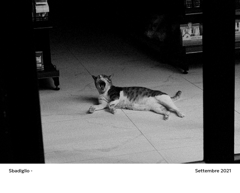 Un calendario fotografico dall'atmosfera pulita e urbana