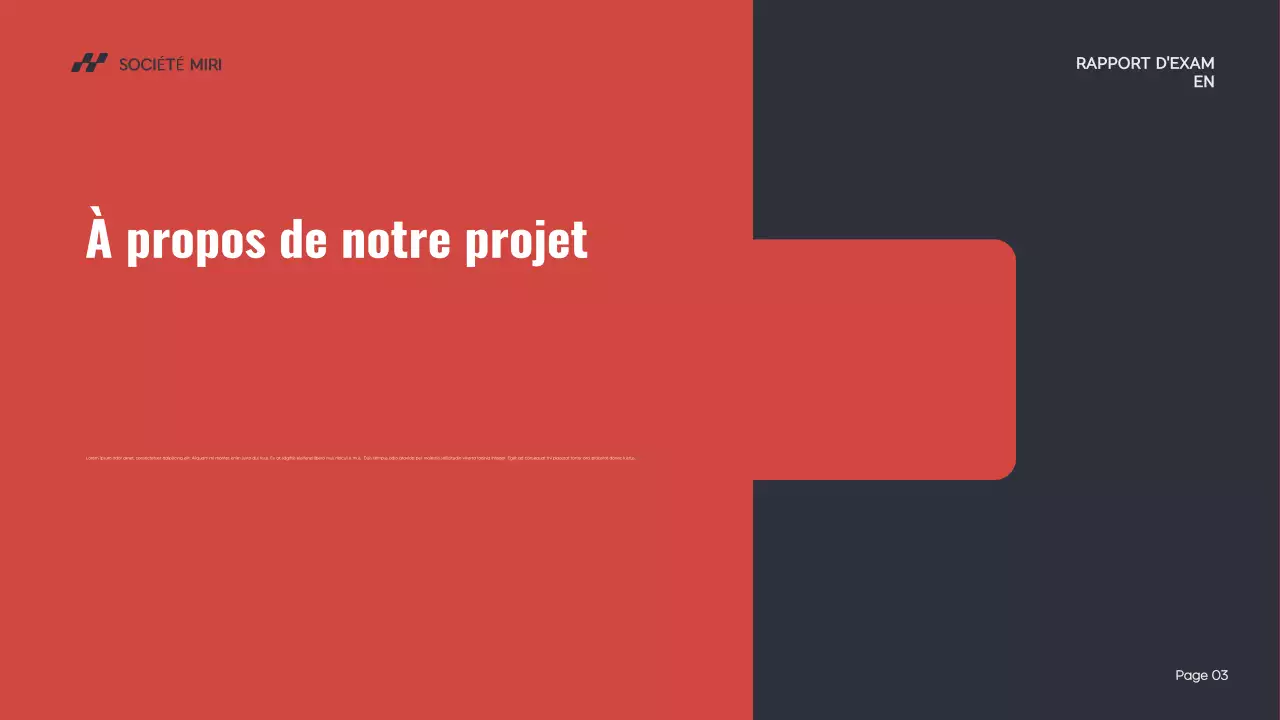 rapport d'activité moderne rouge