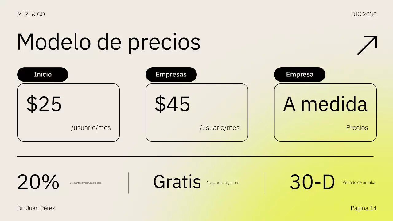 Presentación del plan de negocio de la estrategia de comercialización de Beige Yellow