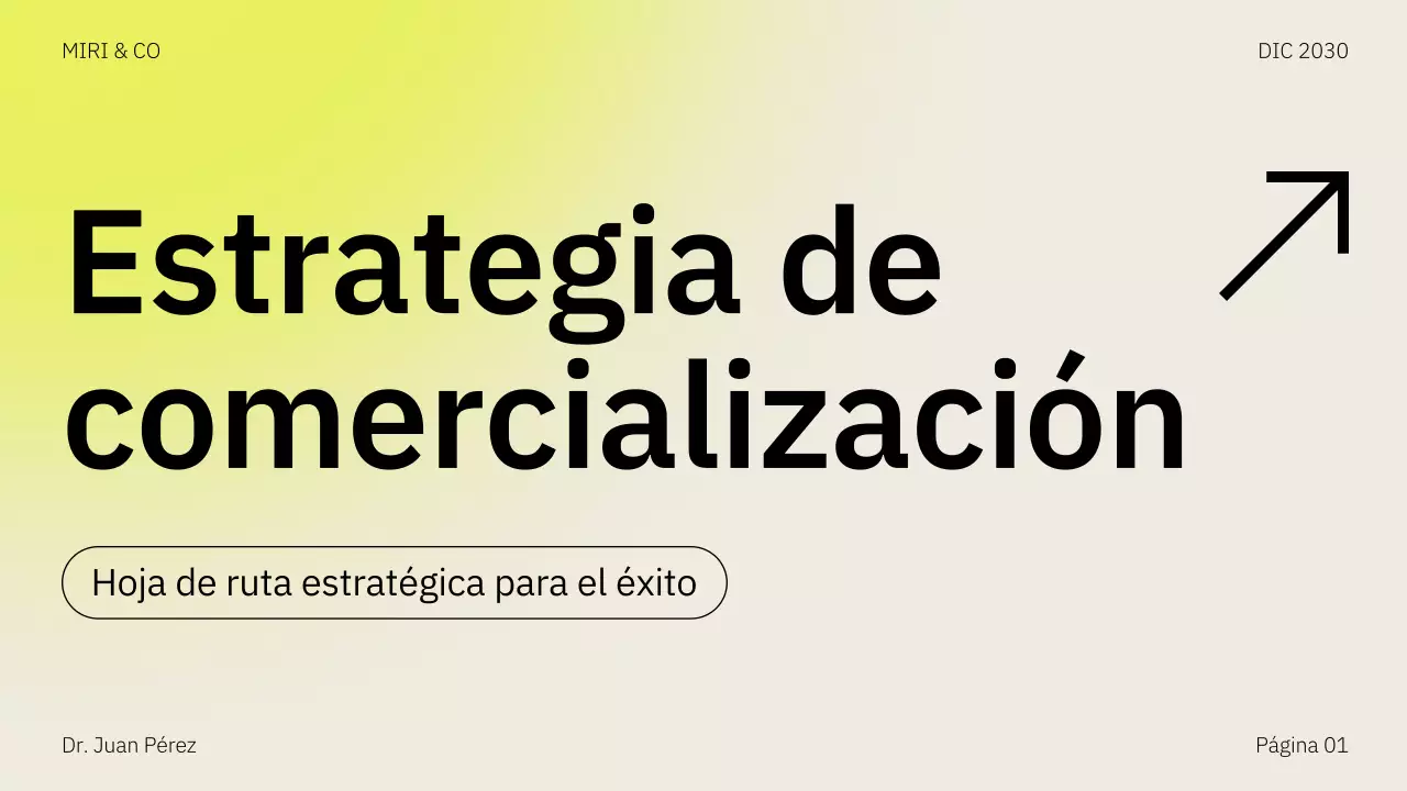 Presentación del plan de negocio de la estrategia de comercialización de Beige Yellow