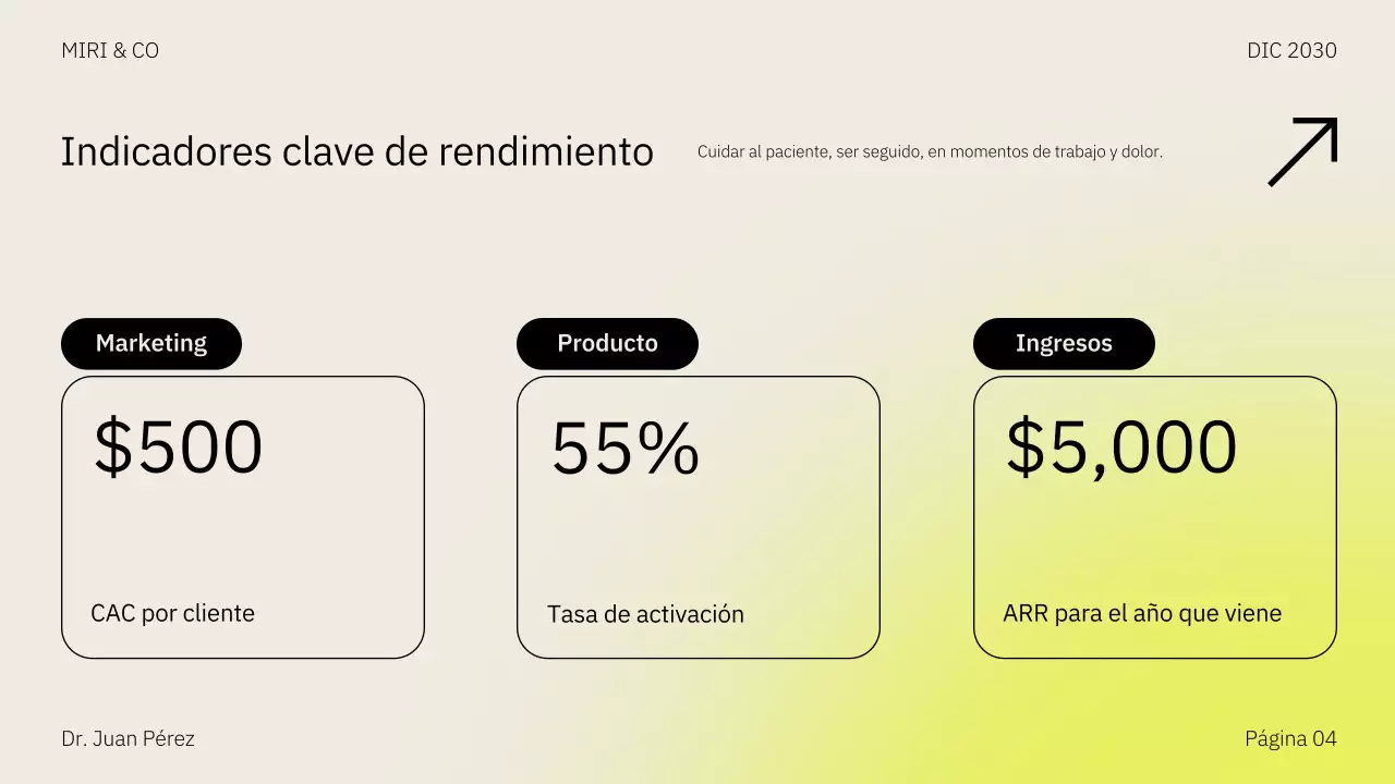 Presentación del plan de negocio de la estrategia de comercialización de Beige Yellow