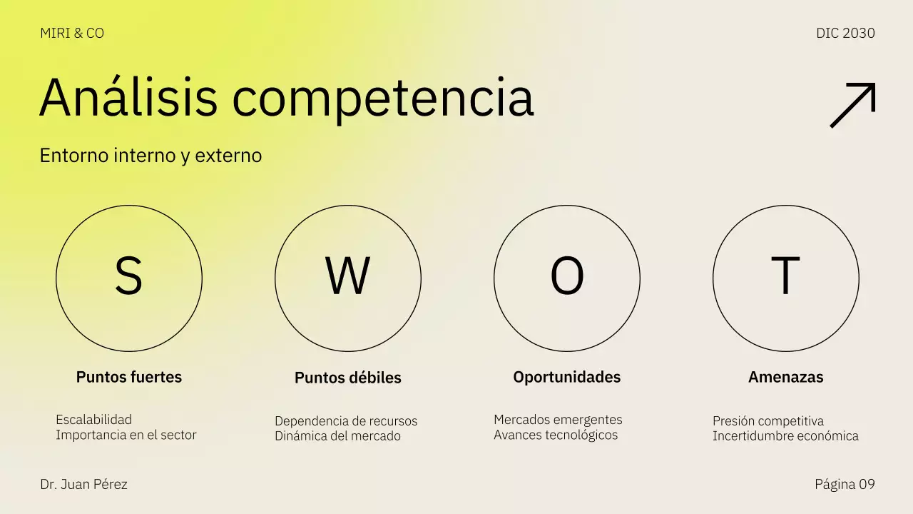 Presentación del plan de negocio de la estrategia de comercialización de Beige Yellow