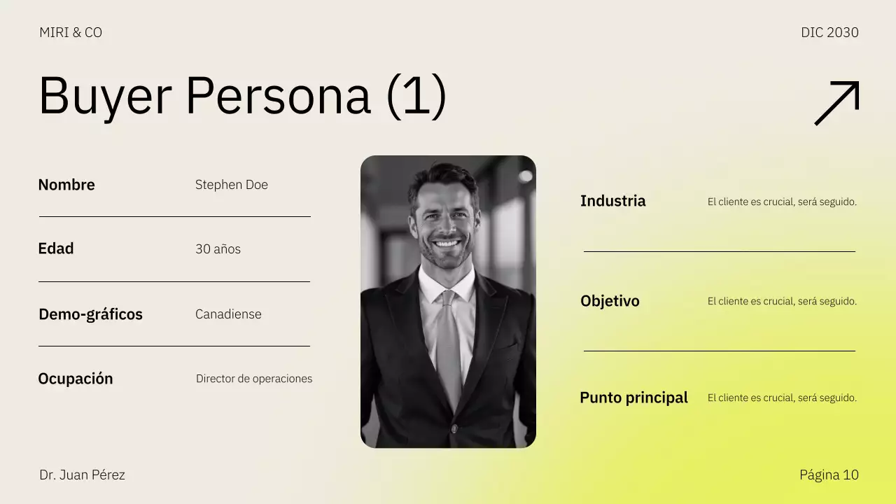 Presentación del plan de negocio de la estrategia de comercialización de Beige Yellow