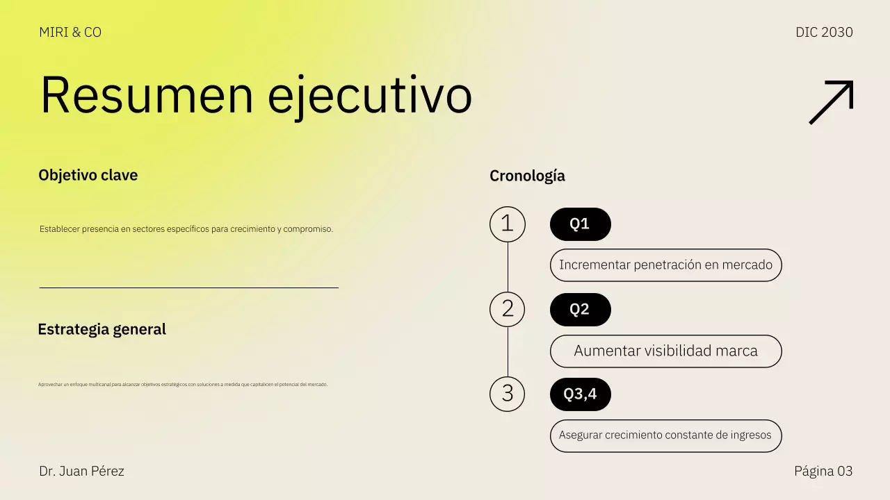 Presentación del plan de negocio de la estrategia de comercialización de Beige Yellow