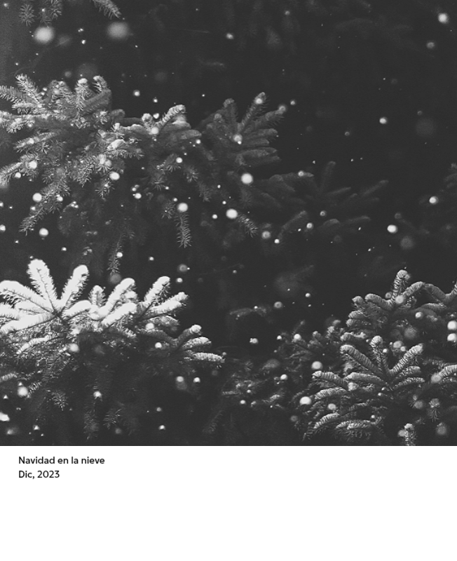 Un calendario fotográfico con un toque limpio y urbano