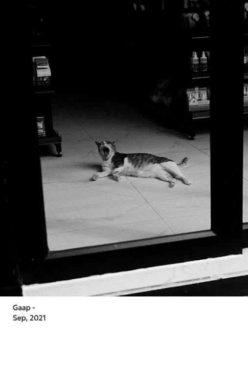 Een fotokalender met een strakke, stedelijke uitstraling