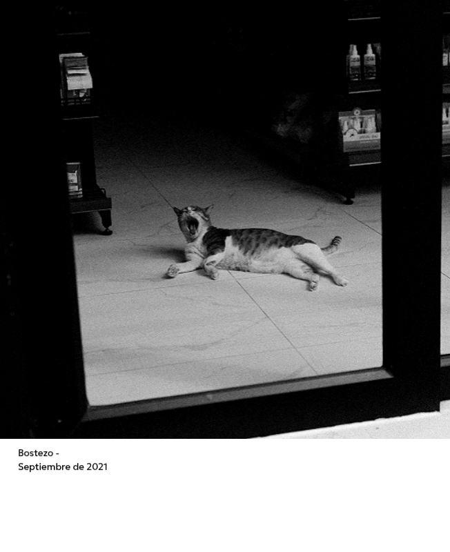 Un calendario fotográfico con un toque limpio y urbano