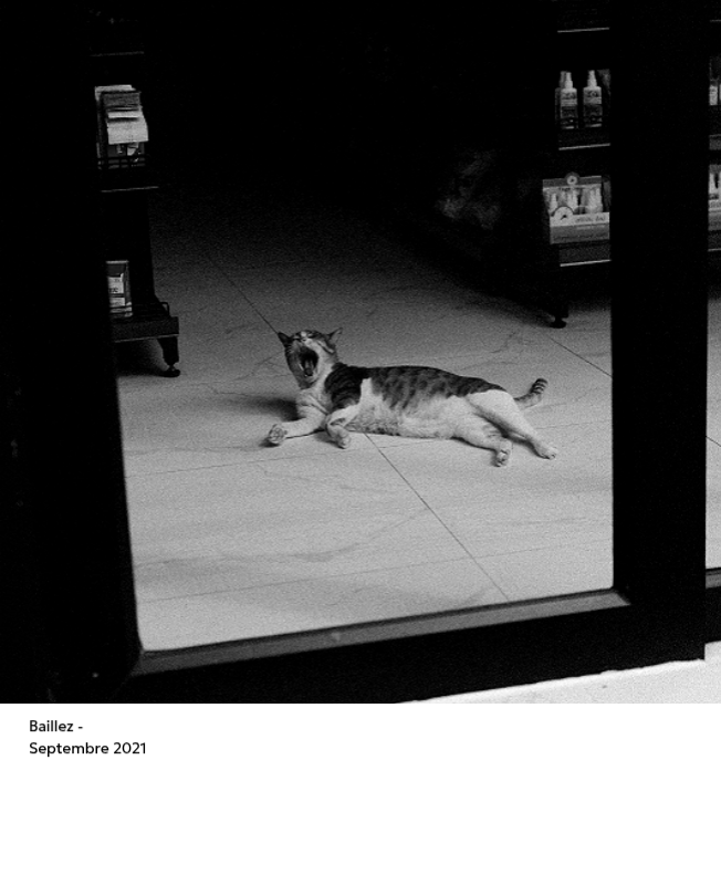 Un calendrier photo à l'allure urbaine et épurée