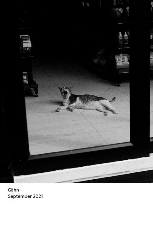 Ein Fotokalender mit klarem, urbanem Charakter