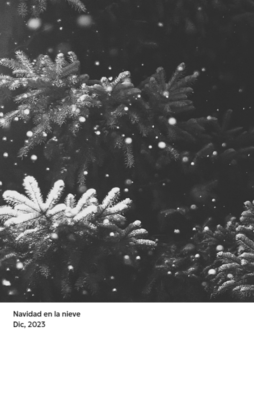 Un calendario fotográfico con un toque limpio y urbano