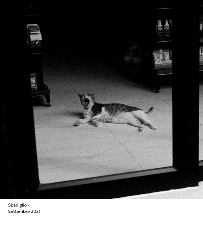 Un calendario fotografico dall'atmosfera pulita e urbana