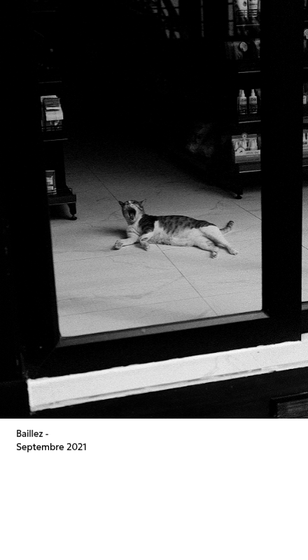 Un calendrier photo à l'allure urbaine et épurée