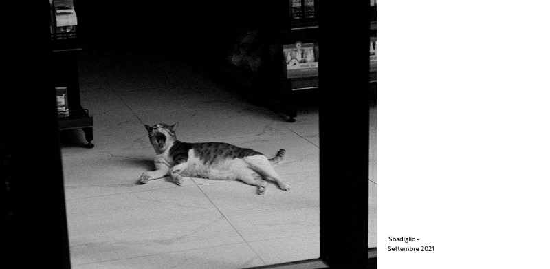 Un calendario fotografico dall'atmosfera pulita e urbana