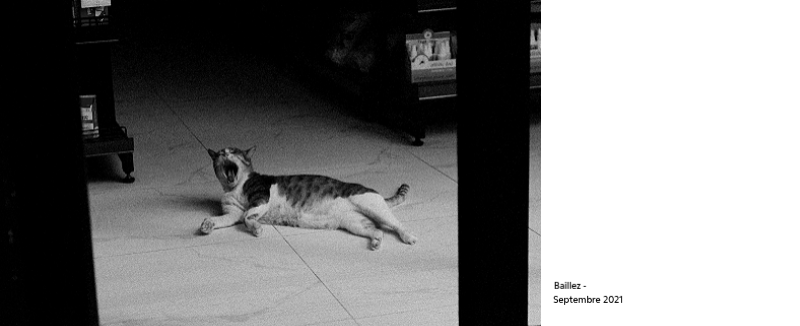 Un calendrier photo à l'allure urbaine et épurée