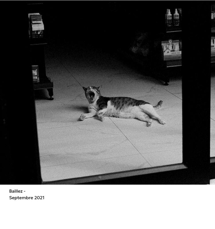 Un calendrier photo à l'allure urbaine et épurée