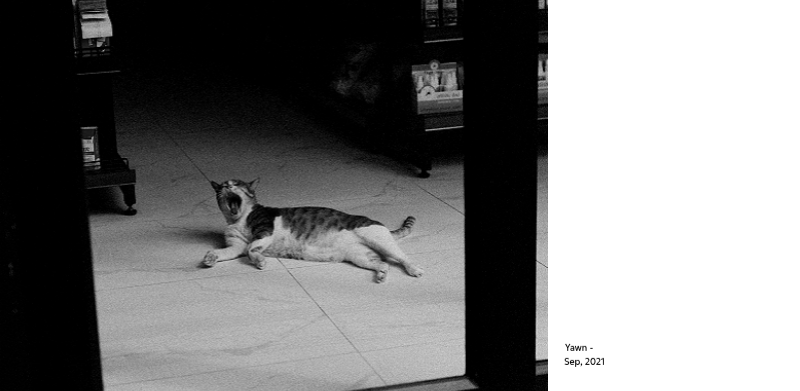 A photo calendar with a clean, urban feel