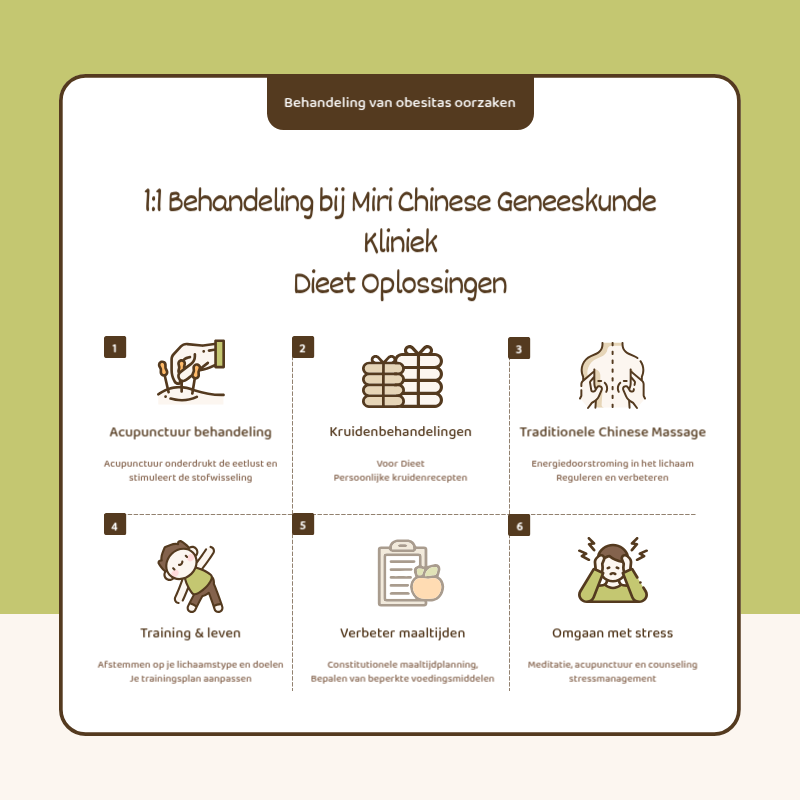 Een eenvoudige illustratie in lichtblauw promoot het dieet van de Chinese geneeskunde
