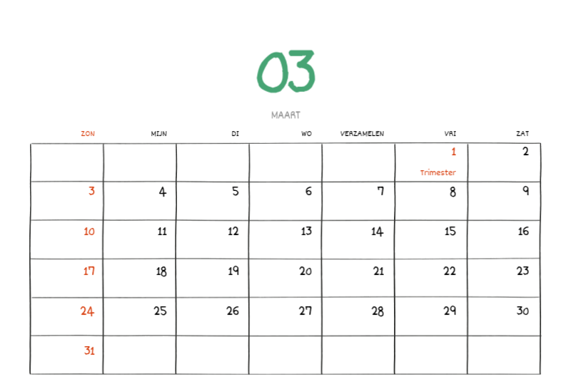 Een kleurrijk en schattig alledaags illustratieconcept