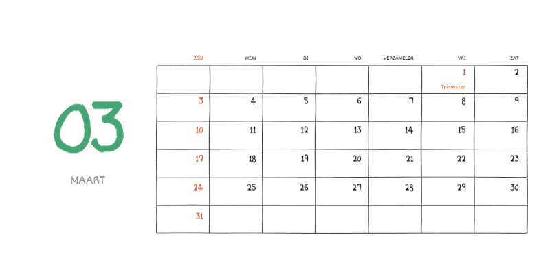 Een kleurrijk en schattig alledaags illustratieconcept