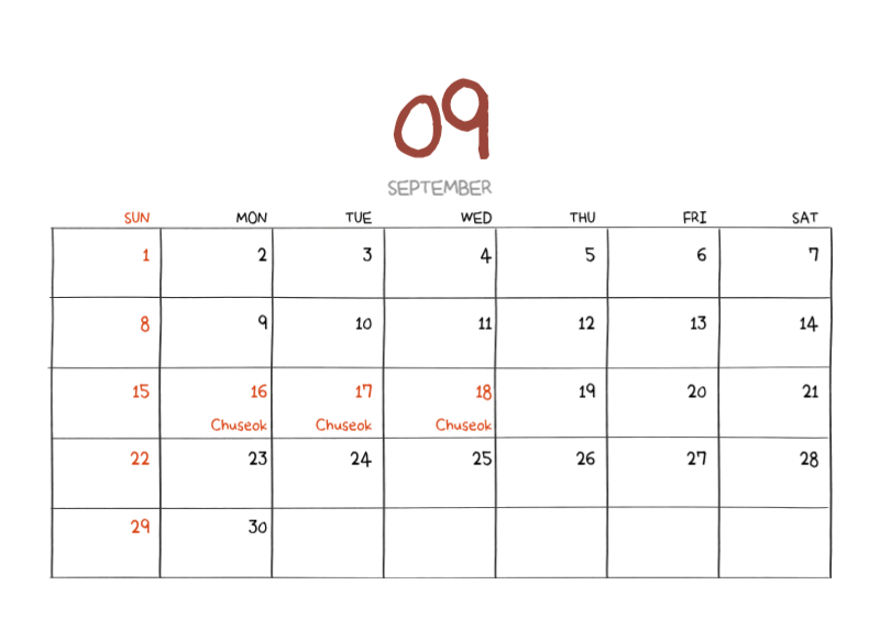 Colorful and cute everyday illustration concept