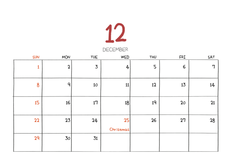 Colorful and cute everyday illustration concept