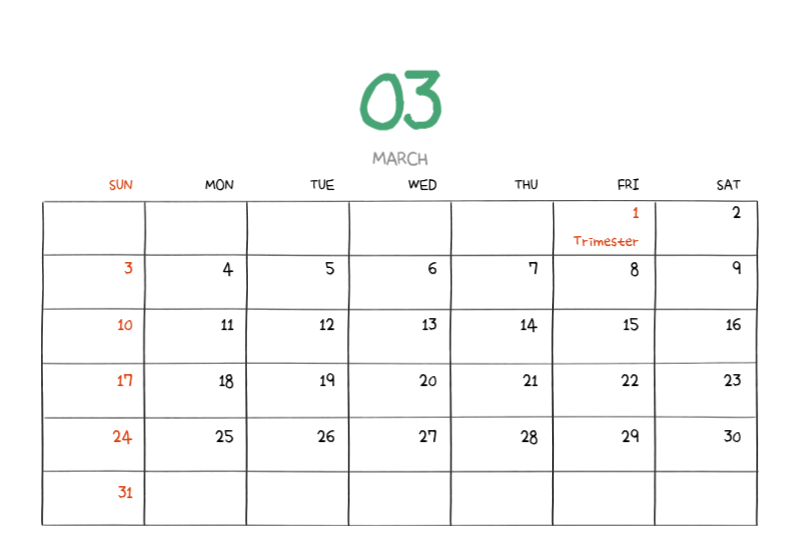 Colorful and cute everyday illustration concept