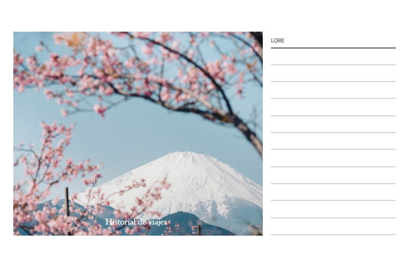 Conceptos de marcos de fotos de viajes de diferentes países