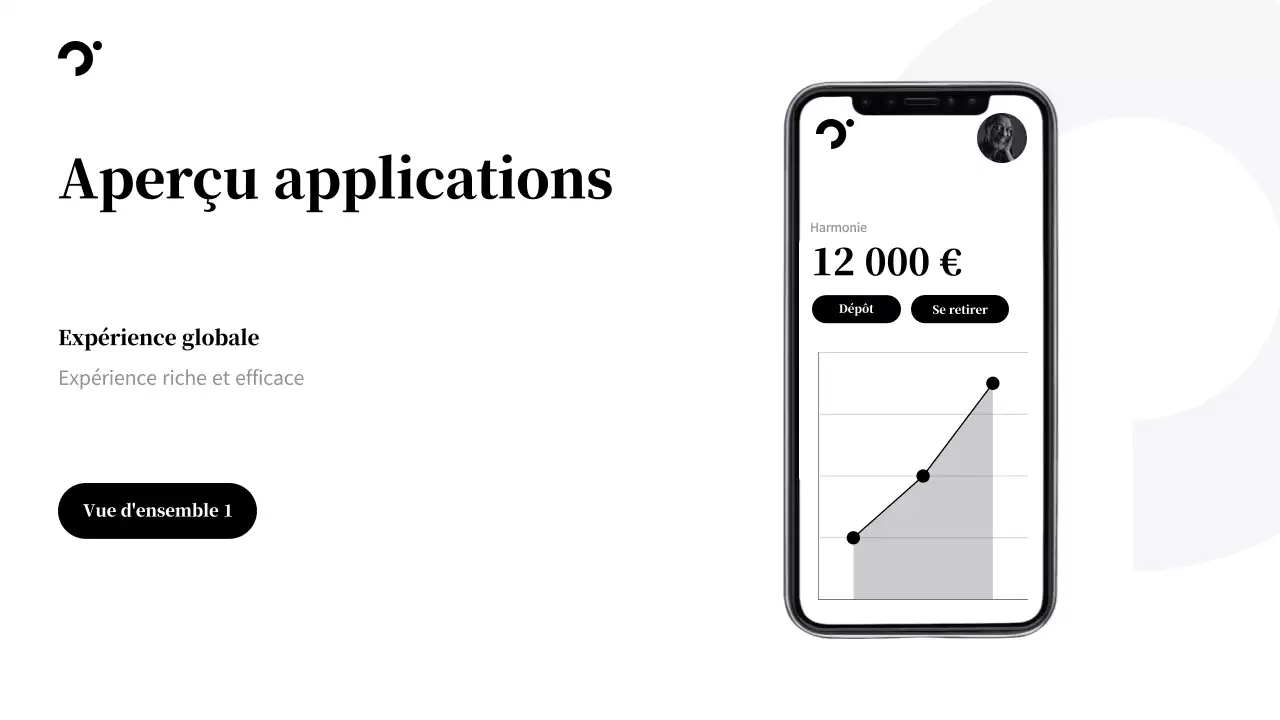 Promotion de la Fintech moderne noire