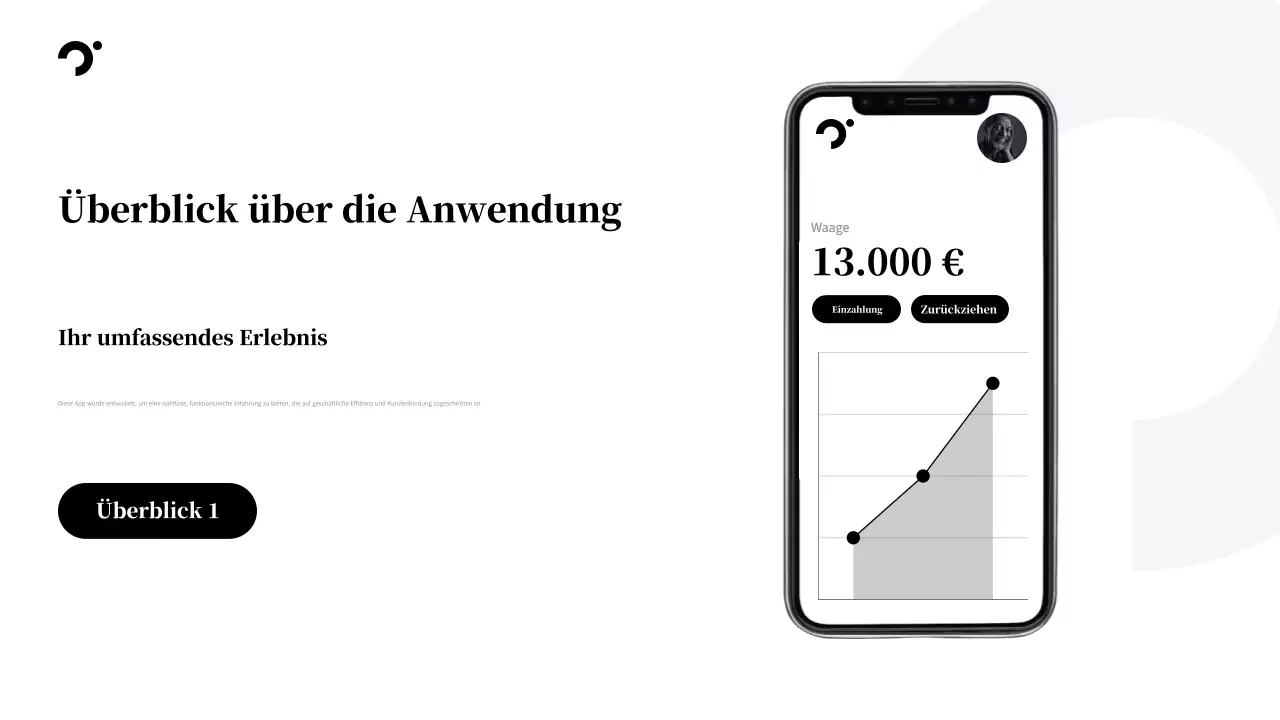 Schwarze Moderne Fintech-Förderung