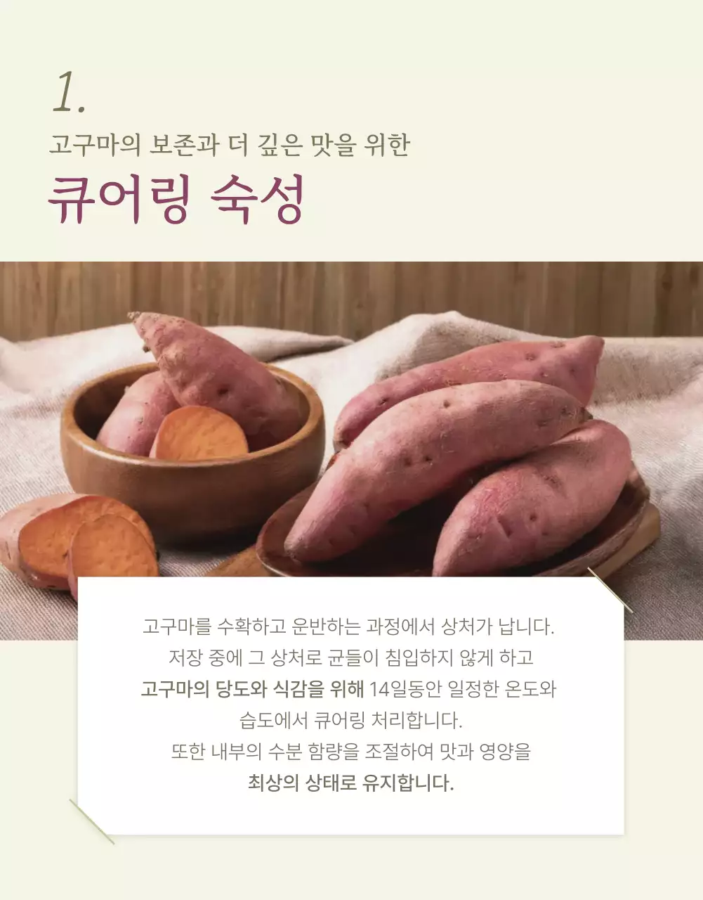아이보리 카키 깔끔한 밤고구마 농산물 홍보물