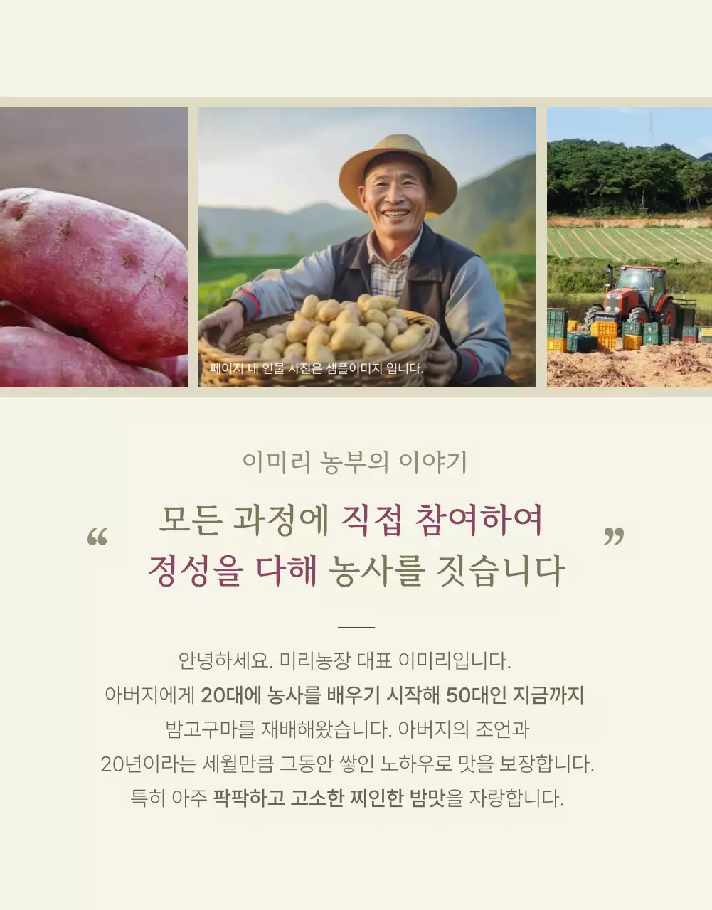 아이보리 카키 깔끔한 밤고구마 농산물 홍보물