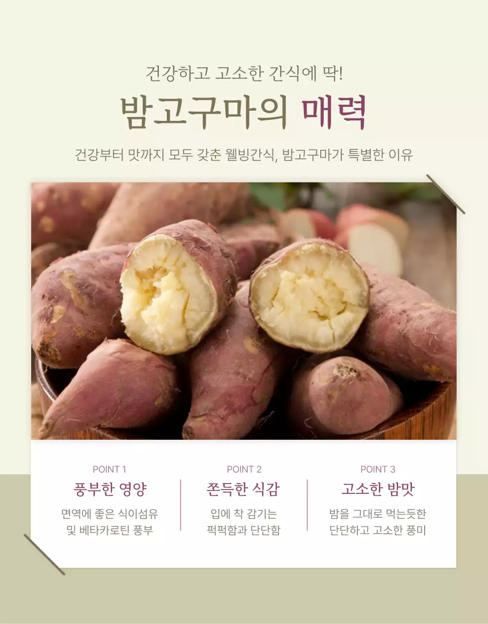아이보리 카키 깔끔한 밤고구마 농산물 홍보물