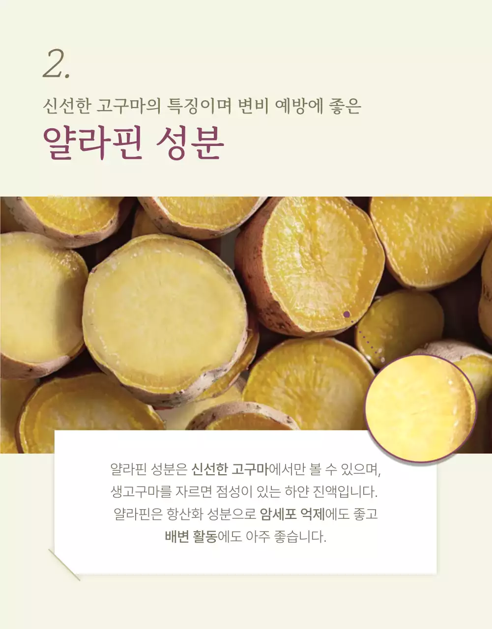 아이보리 카키 깔끔한 밤고구마 농산물 홍보물
