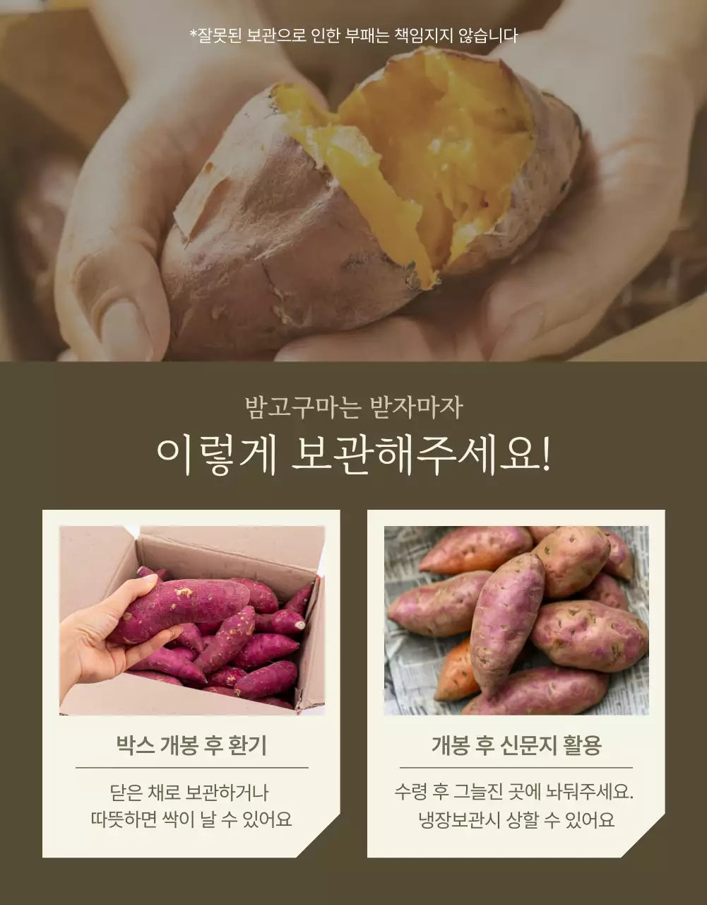 아이보리 카키 깔끔한 밤고구마 농산물 홍보물