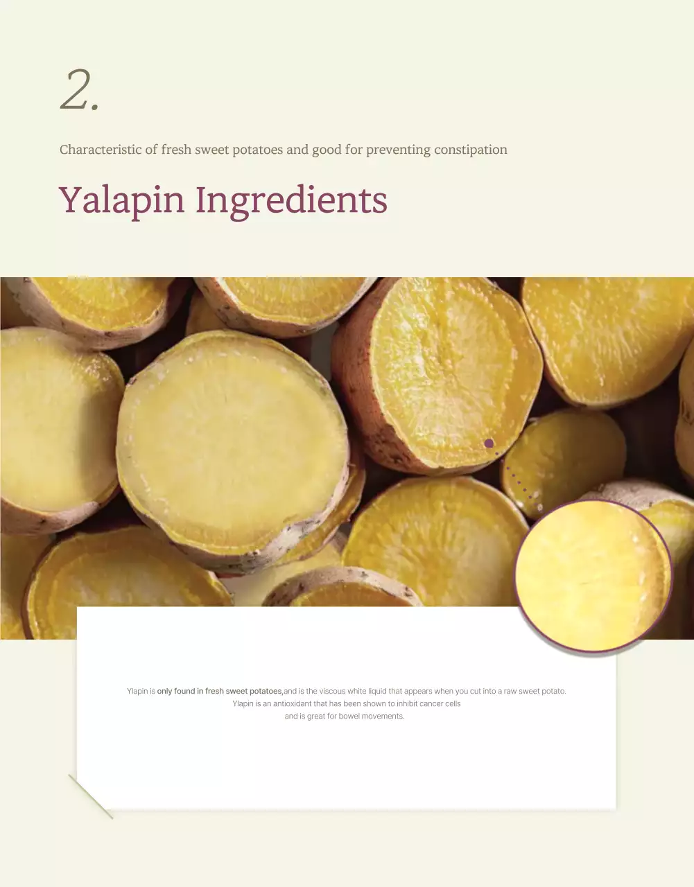 Cartaz promocional de batata-doce tradicional bege