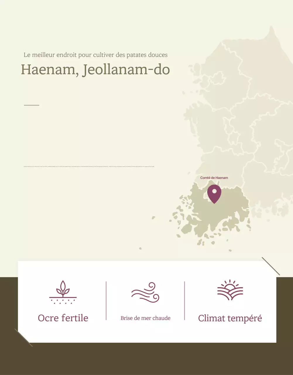 Ivory Khaki Neat Sweet Potato Produce Promotions