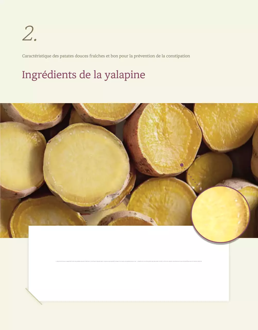 Ivory Khaki Neat Sweet Potato Produce Promotions